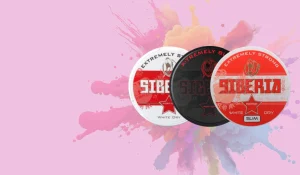Siberia snus pouches Dubai UAE at SnusheetsDubai.com